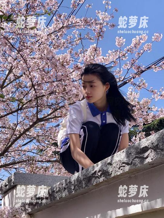 打工人福音！黑料网安卓导航助你顺利驶向八卦灿烂大道！
